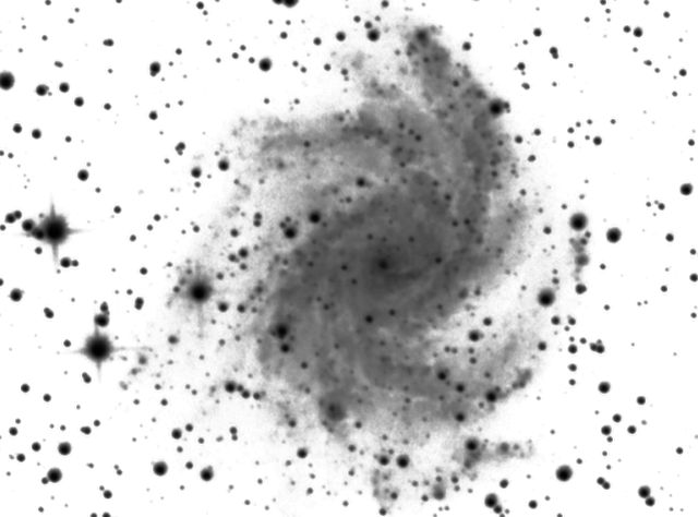 NGC 6946.jpg